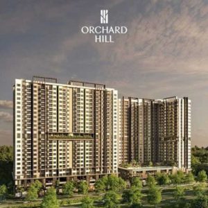 Orchard Hill